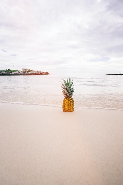 菠萝沙附近的海滩上
